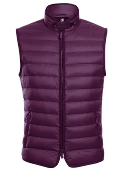 Berry Regular Classic Fit Goose Down Vest