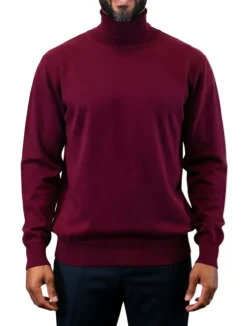 Men's Fashion Turtleneck Sweater in Burgundy