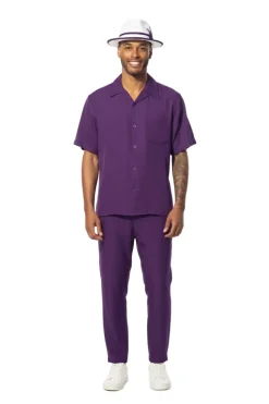 Men's 2 Piece Walking Suit Summer Short Sleeves in Purple