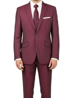 (46R, 50L) Slim Fit 2 Piece Suit in Burgundy