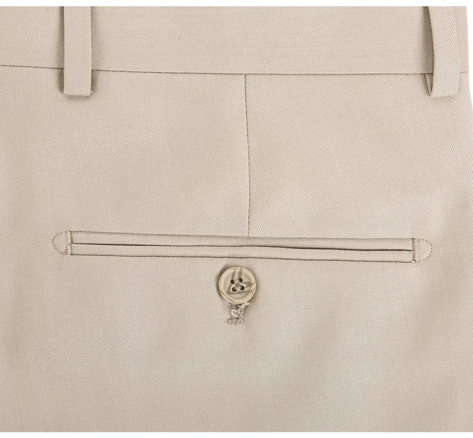 Vanderbilt Collection - Beige Regular Fit Dress Pants